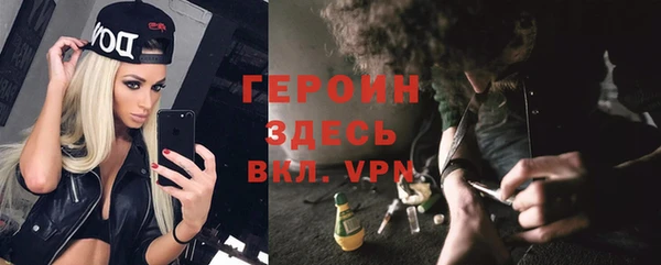 мдпв Дмитриев