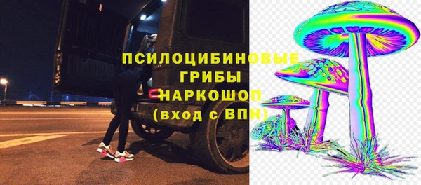 Альфа ПВП Алзамай