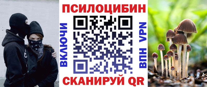 продажа наркотиков  Шимановск  Псилоцибиновые грибы мицелий 